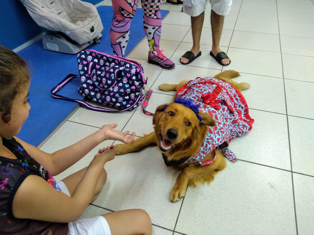 Cinoterapia usa cães no tratamento de crianças com deficiência