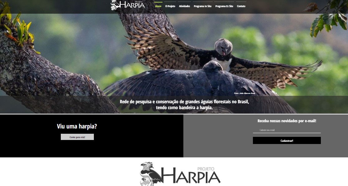 ‘Projeto Harpia’, voltado para preservação de gaviões, apresenta novo site