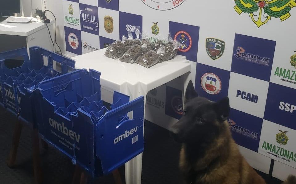 Cão policial acha maconha escondida em grades de cerveja