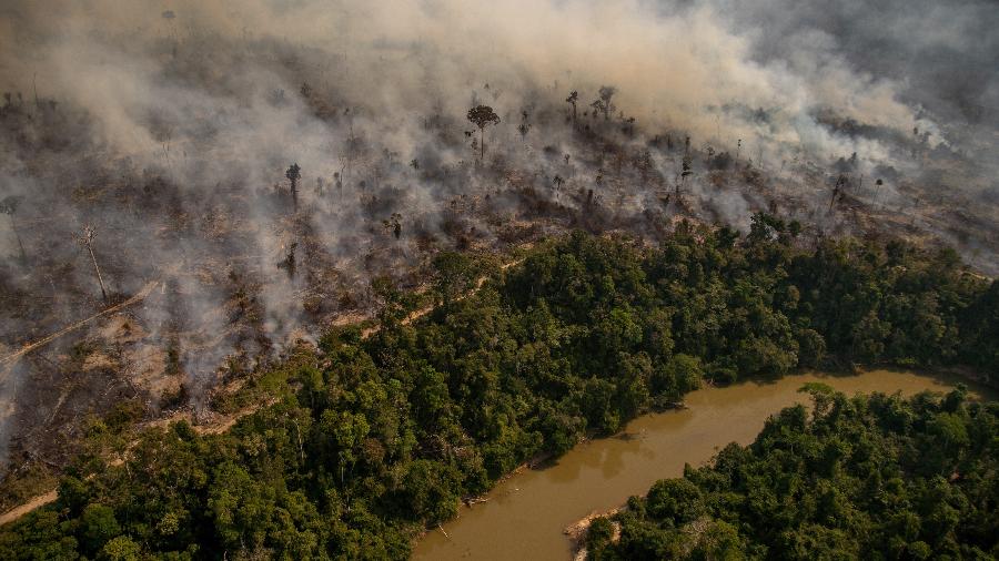 Mourão propõe expropriar áreas desmatadas ilegalmente e irrita Bolsonaro