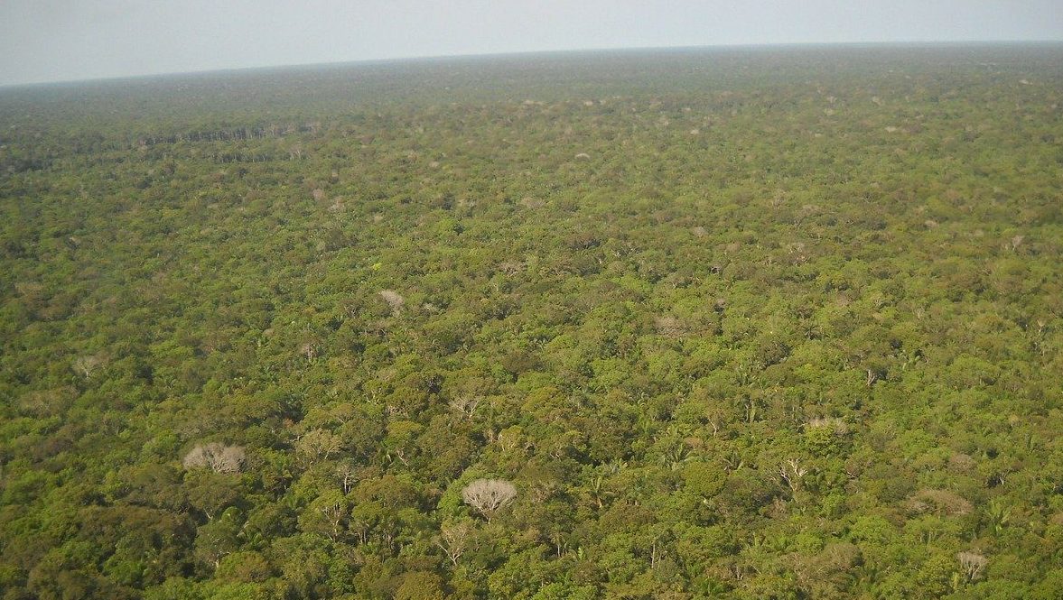 Tour de Mourão com embaixadores na Amazônia ‘não serviu de nada’