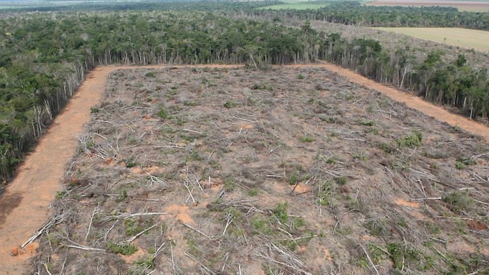 Desmatamento na Amazônia em outubro é o pior em cinco anos