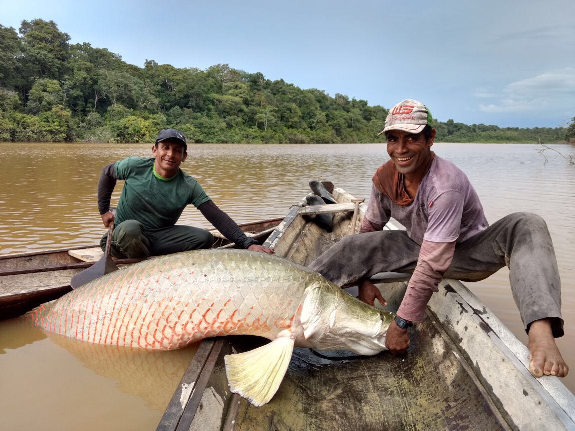 ‘Feira do Pirarucu’ vai vender mais de quatro toneladas de peixe em Manaus