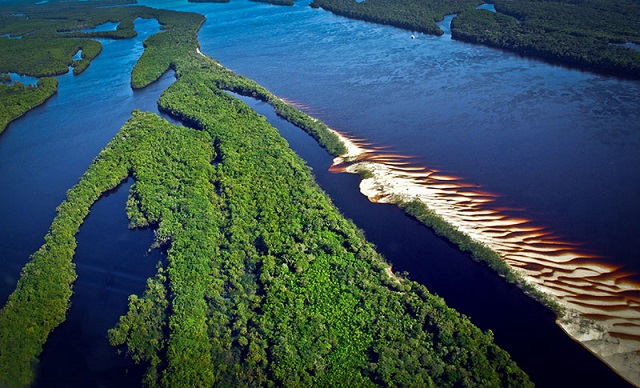 Bioeconomia: UEA lança a 1ª Escola de Negócios da Floresta Amazônica