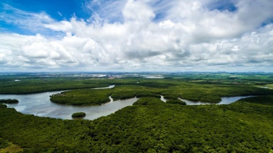 Governo Bolsonaro planeja abrir nova estrada no meio da Amazônia