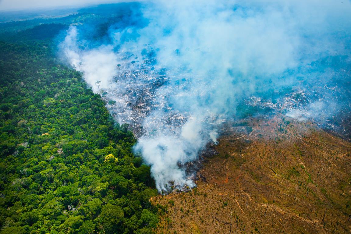 Alemanha vai doar R$ 163 mi para desenvolvimento sustentável na Amazônia