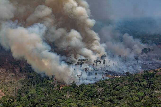 Derrota de Trump coloca Amazônia e Bolsonaro na berlinda do clima