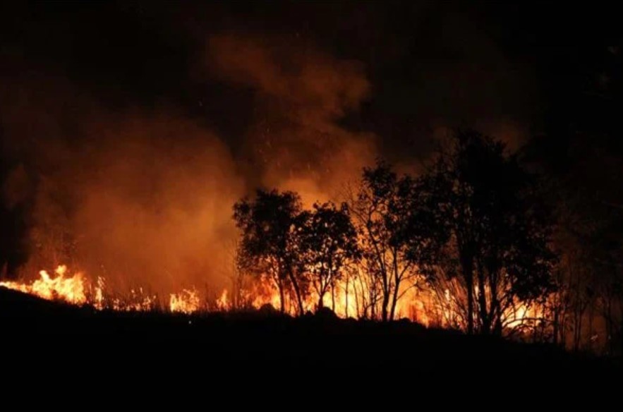 Amazônia tem recorde de queimadas com aumento de 121% em outubro