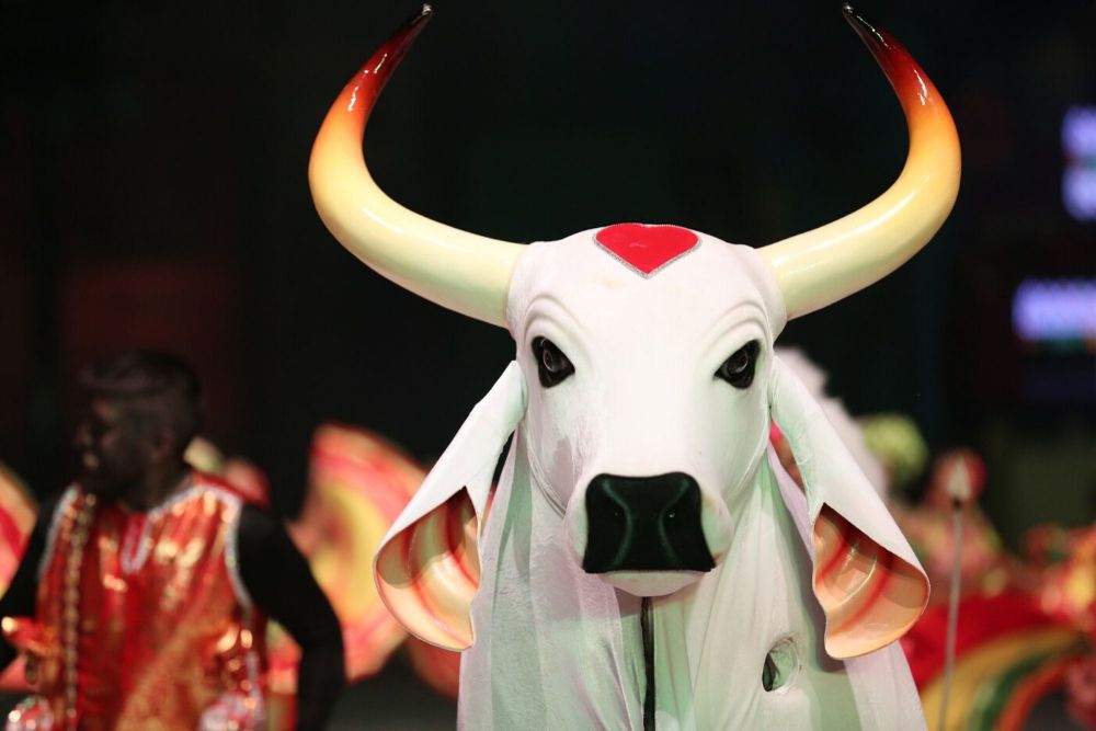 Alvorada do Garantido: boi vermelho e branco mantém tradição e realiza evento em formato on-line