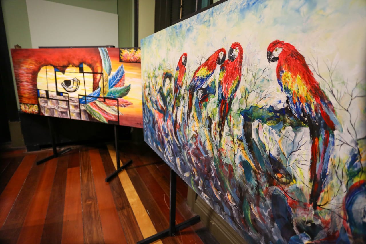 Exposição ‘O Clamor da Mata’ é inaugurada no Palácio Rio Negro